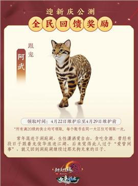 查询天龙八部私服广告